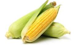 Corn